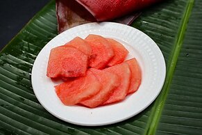 Saboga Lodge and Villa Noelia