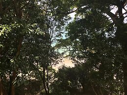 Saboga Lodge and Villa Noelia