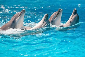 Saboga Lodge and Villa Noelia