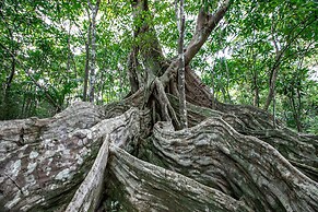Saboga Lodge and Villa Noelia