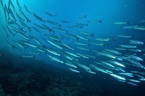 Saboga Lodge and Villa Noelia