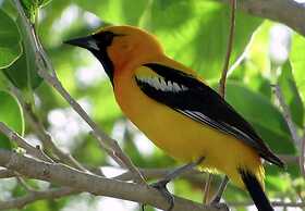 Raíces del Cielo Oasis Holístico