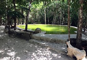 Raíces del Cielo Oasis Holístico