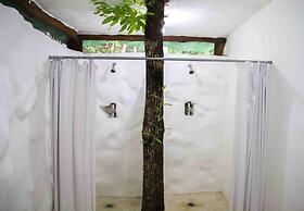 Raíces del Cielo Oasis Holístico