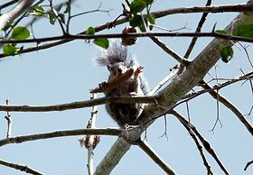 Raíces del Cielo Oasis Holístico