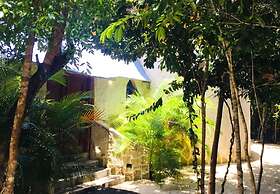 Raíces del Cielo Oasis Holístico