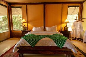 Instinct of the Mara