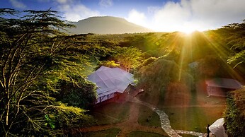 Instinct of the Mara