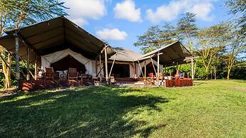 Instinct of the Mara