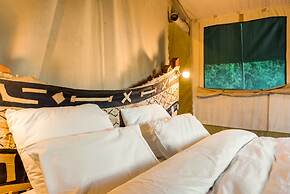 Instinct of the Mara