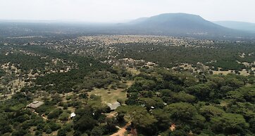 Instinct of the Mara