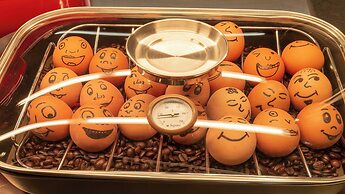 Holiday Inn - the niu, Leo Nuremberg by IHG