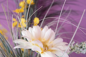 Apartamento del Arqueólogo de Cadiz