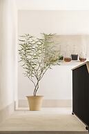 Hotel Bodega Tío Pepe