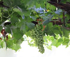 Hotel Bodega Tío Pepe