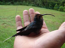 Cabinas Ecogarden Arenal