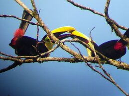 Cabinas Ecogarden Arenal
