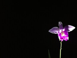 Cabinas Ecogarden Arenal