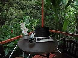 Cabinas Ecogarden Arenal