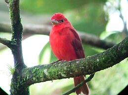 Cabinas Ecogarden Arenal