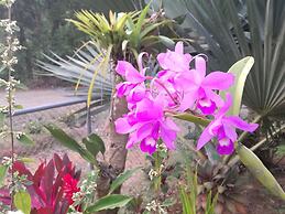 Cabinas Ecogarden Arenal