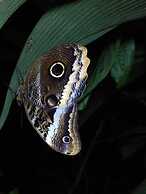 Cabinas Ecogarden Arenal