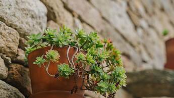 Curral D'Avó Turismo Rural & SPA