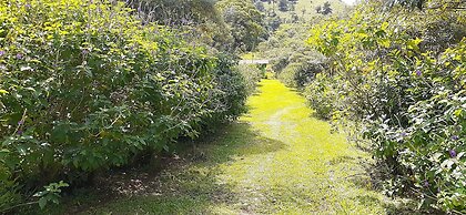 Rio Celeste Family Lodge