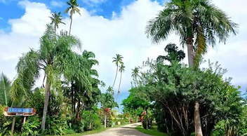Sigasiga Sands Boutique Bungalows