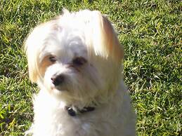 Colonial Inn Guest Rooms