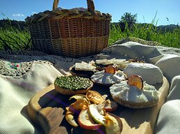 Prenocisca Miklavcic