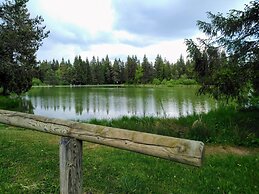 Prenocisca Miklavcic