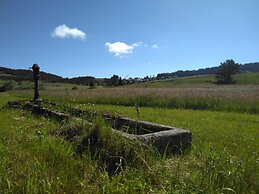 Prenocisca Miklavcic