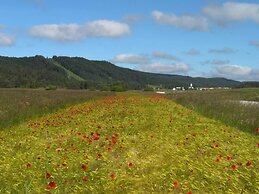Prenocisca Miklavcic
