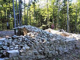 Prenocisca Miklavcic