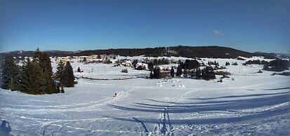 Prenocisca Miklavcic