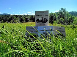 Prenocisca Miklavcic