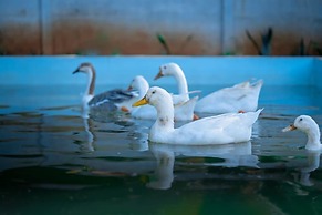 Anamala Serenity Homestay