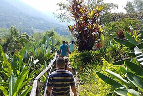 Hotel Hacienda La Bonita
