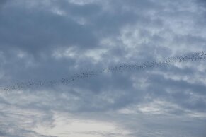 Ora Sunrise View Resort