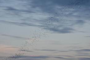 Ora Sunrise View Resort