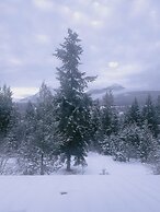 Alpine Meadows Lodge