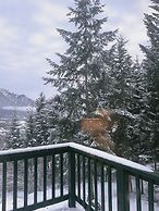 Alpine Meadows Lodge