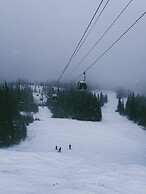 Alpine Meadows Lodge