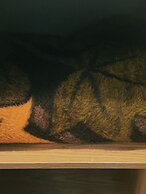 Alpine Meadows Lodge