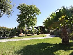 Gato Preto de Silves