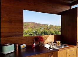 Gato Preto de Silves