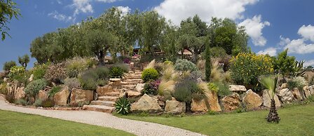 Gato Preto de Silves