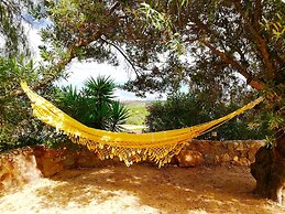 Gato Preto de Silves