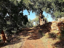 Gato Preto de Silves